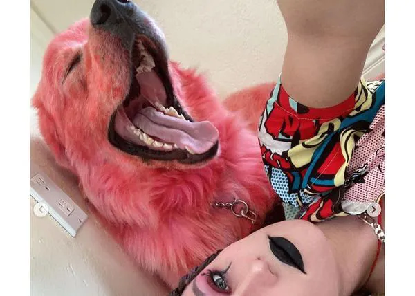 No nos merecemos a los perros: una mujer tiñe constantemente de rojo a su Gran Pirineo