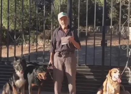 Un anciano con cáncer terminal busca urgentemente una buena familia para sus perros