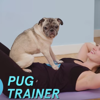 Cómo ponerse en forma con un perro, versión parodia solo …