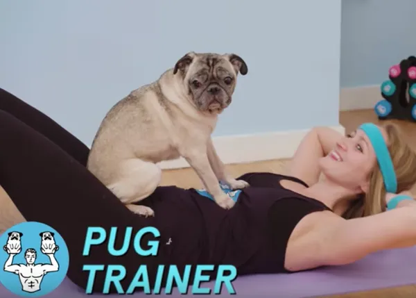 Cómo ponerse en forma con un perro, versión parodia solo para dueños de carlinos y versión real