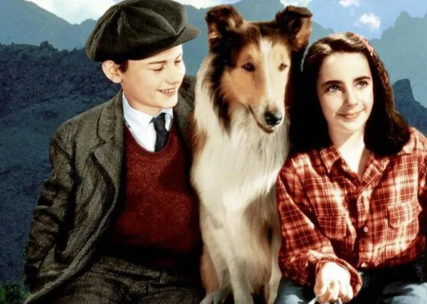 Las 10 películas de perros que más han alterado las razas caninas del mundo
