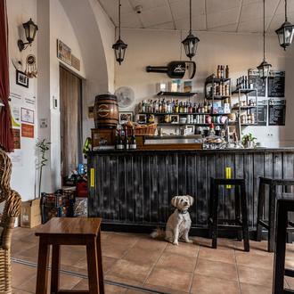 ¡Ser dog friendly es un imán de clientes felices! Damos …