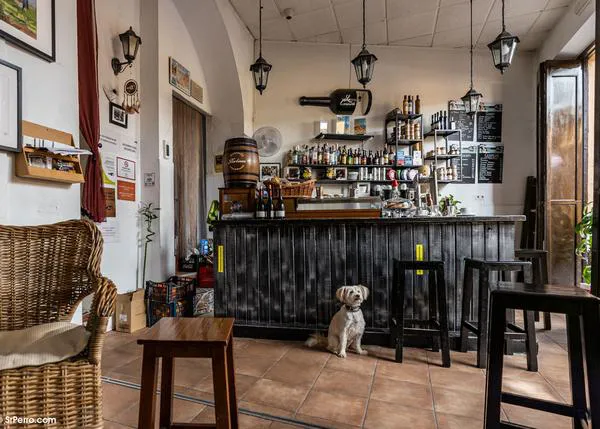 ¡Ser dog friendly es un imán de clientes felices! Damos la bienvenida a SrPerro a estupendos locales en Toledo, Cádiz, Oviedo, Madrid, Barcelona....