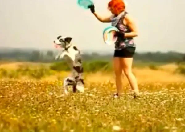 Zoe, la loca del frisbee