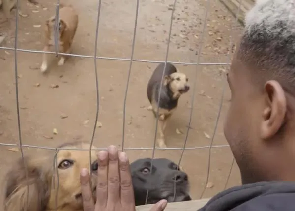 Crece la protectora que ayuda a los perros y también a las personas sin hogar: Hope, en Rio de Janeiro