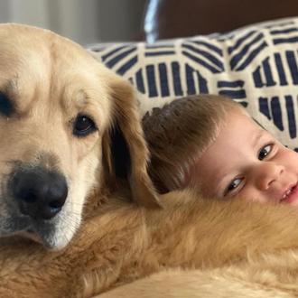 La perra niñera (más adorable) vigila el sueño de su …