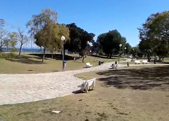Los anti-perros vuelven a la carga en El Campello: ni playa, ni parque para canes