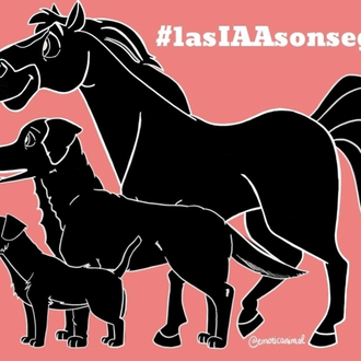 Decenas de entidades dedicadas a las intervenciones asistidas con animales …