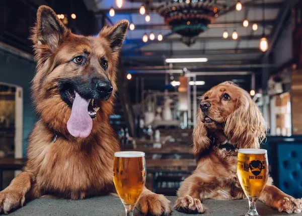 Posiblemente, la empresa más perruna del mundo: Brewdog y los 