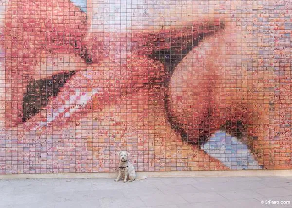 Tu perro te quiere (ayudar): la empatía y la conducta prosocial en los canes
