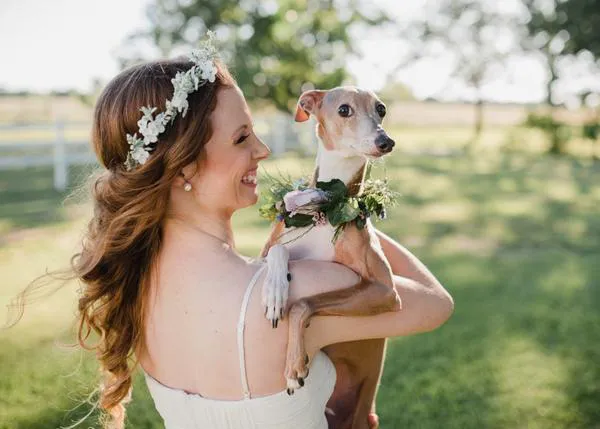 Novias solidarias: una sesión de fotos para fomentar la adopción de perros
