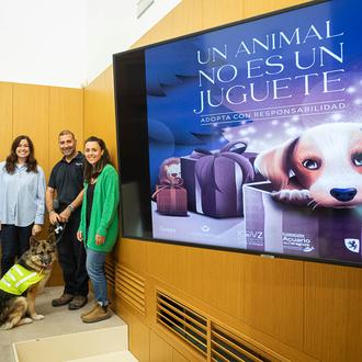 'Un animal no es un juguete', el Ayuntamiento de Zaragoza …