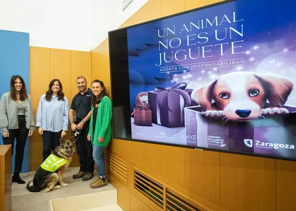 'Un animal no es un juguete', el Ayuntamiento de Zaragoza fomenta las adopciones responsables esta Navidad