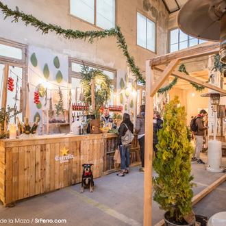 Un paseo perruno por la mágica Navidad de Federica & Co …