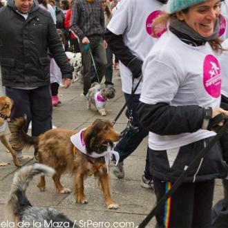 SanPerrestre 2013: la carrera solidaria recorrerá el centro de Madrid …