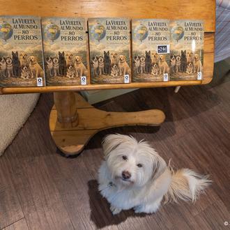 Libros perfectos para regalar a personas con perro y regalos …