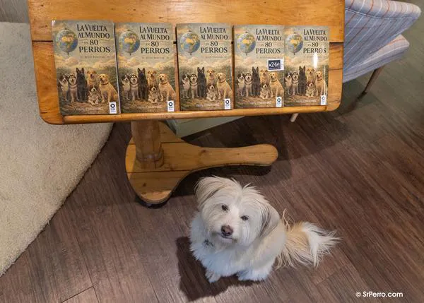 Libros perfectos para regalar a personas con perro y regalos solidarios que ayudan a los perros: ¡Feliz Día del Libro y Sant Jordi!