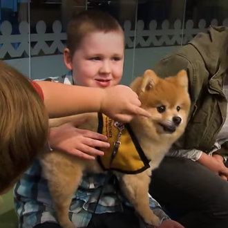 Un estudio revela los beneficios de los perros de terapia …