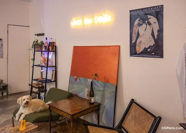 ¿De vinos con perro? Yes we CAN: 10 locales extra simpáticos donde brindar en la mejor compañía