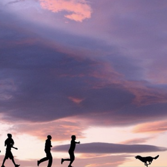 Los perros en las espectaculares imágenes de sombras chinescas creadas …