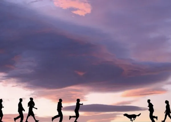 Los perros en las espectaculares imágenes de sombras chinescas creadas por Dominic Liam
