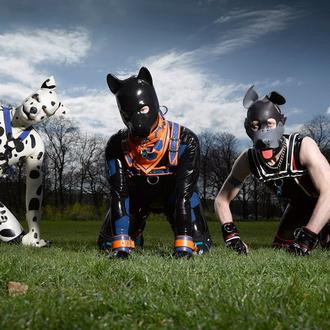 Un documental se adentra en las vidas de los perros …