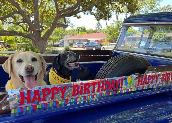 El 100 cumpleaños de un hombre que adora a los perros se convierte en un evento canino fabuloso con más de 200 perretes