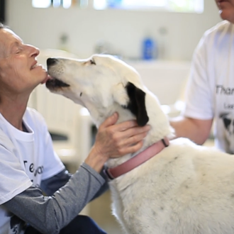 La preciosa historia de cómo una comunidad se unió hasta …