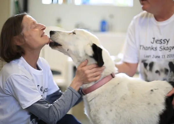 La preciosa historia de cómo una comunidad se unió hasta lograr encontrar a una perra perdida más de dos meses