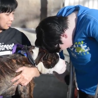 El niño que soñaba con tener un perro de tres …