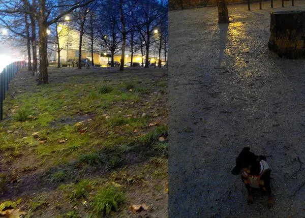 Acoso a los dueños de canes en Ferrol: si el perro pisa el césped, su dueño puede ser multado