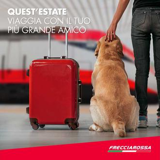 ¿Cómo ayudar a las familias con perro en verano? En …