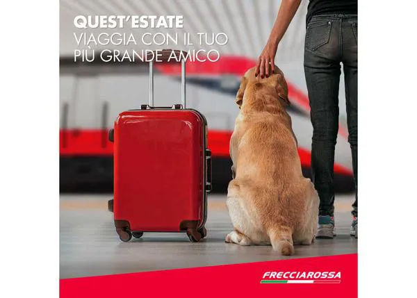 ¿Cómo ayudar a las familias con perro en verano? En Italia lo tienen claro: los canes viajan gratis en tren