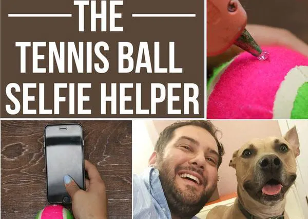 Consigue el selfie perfecto con tu perro con un gadget que fabricas en 5 minutos