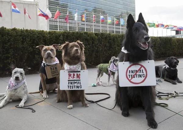 Los perros se manifiestan ante la ONU para pedir el fin de la experimentación con animales