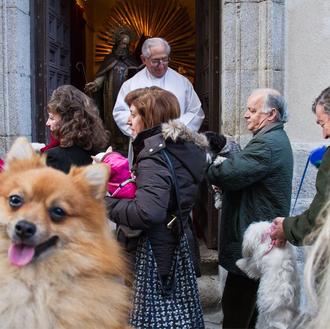 Concierto para mascotas y otros planes para San Antón 2013 …