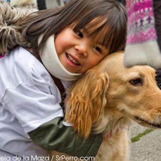 Planazo divertido y solidario en Madrid: La SanPerrestre 2014