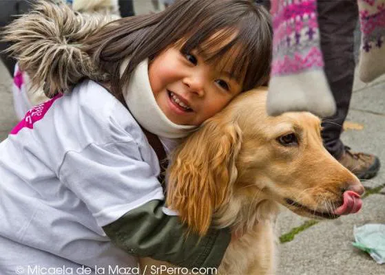 Planazo divertido y solidario en Madrid: La SanPerrestre 2014