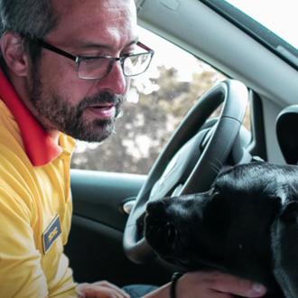 Los perros de asistencia pueden acompañar a sus humanos en …