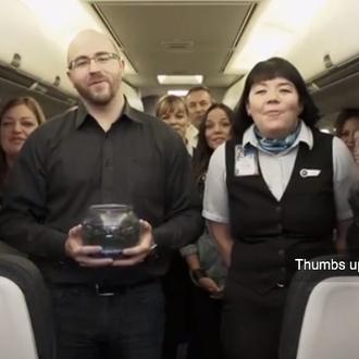 Viajar con perros y todo tipo de bichos en avión …