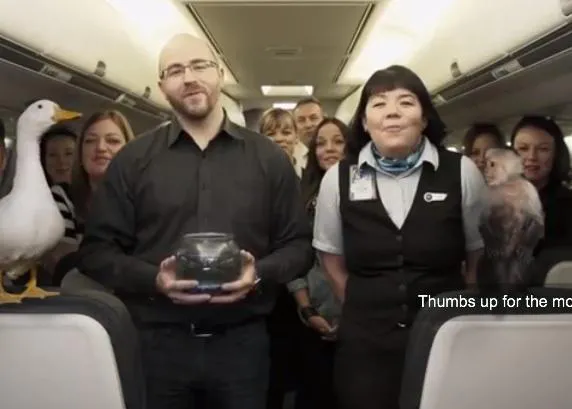 Viajar con perros y todo tipo de bichos en avión: ¡qué pena que sea broma!