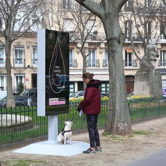 Street-Vet: un chequeo express en la calle para concienciar sobre …