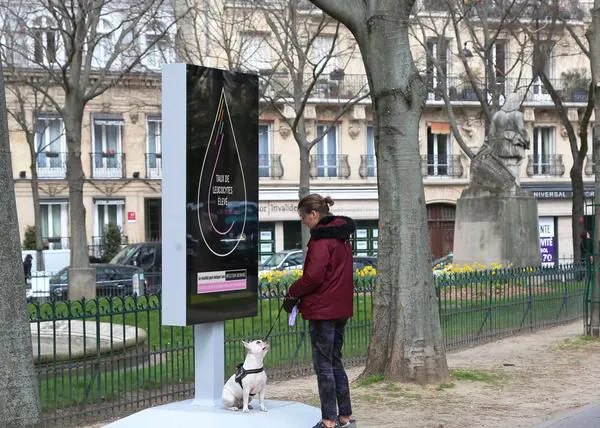 Street-Vet: un chequeo express en la calle para concienciar sobre la importancia de ir regularmente al veterinario
