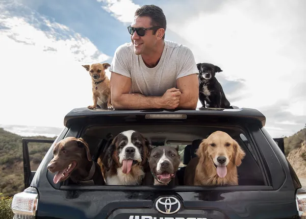 El viaje más guau: recorre EEUU con sus 6 perros adoptados y organiza eventos para fomentar la adopción