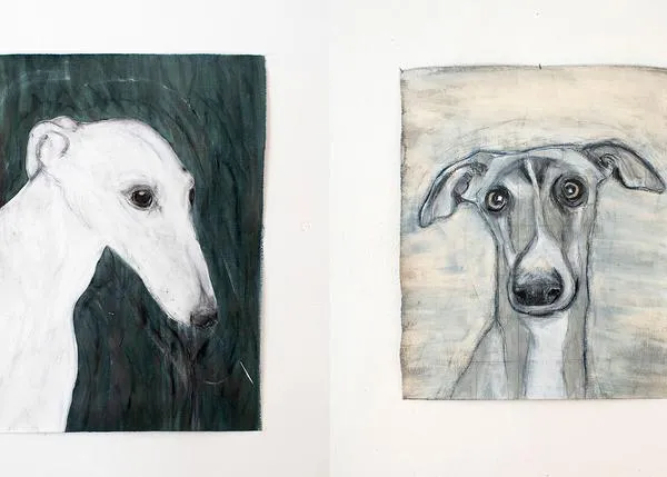 “La mirada de un galgo”, una expo solidaria de cuadros elaborados con pinturas naturales