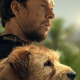 La increíble pero cierta historia de Arthur, el perro rescatado …