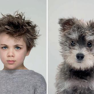 El juego de las Guau-Parejas: retratos de los perros que …