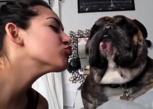 Perros -y gatos- que pasan de besos