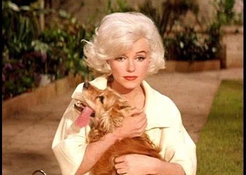 Marilyn Monroe y el perro que no quería ladrar