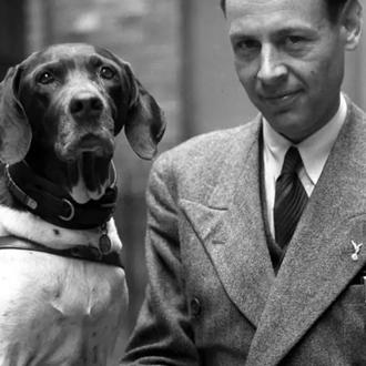 La fabulosa historia de Judy, una Pointer que nació en …